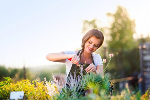 A woman with short brown hair wearing a white shirt and apron is tending to a lush, vibrant garden in daylight, using a small gardening tool to tend to various plants, including flowering and foliage varieties. The garden features a well-maintained lawn with dense, green grass, bordered by flower beds filled with a mix of yellow, purple, and white flowers, as well as ornamental shrubs and small trees. The background shows a softly blurred outdoor environment with additional greenery and a wooden fence, suggesting a residential garden setting in Crouch End. The scene captures a bright, clear day with natural sunlight illuminating the garden, highlighting the textures of the grass, leaves, and flowers. This image visually supports gardening and landscaping services provided by Landscapers Crouch End, focusing on garden maintenance, planting, and outdoor beautification, with a natural and professionally maintained landscape situated in a typical UK suburban garden environment.