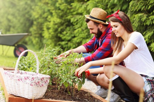Garden waste and rubbish clearance pricing in Crouch End