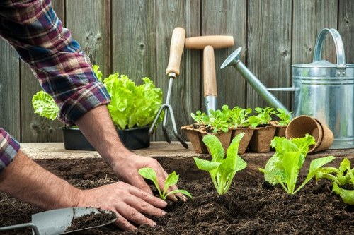 Crouch End garden makeover with hard landscaping and green borders