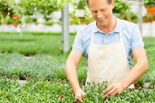 The image depicts a man in a light blue shirt and beige apron working in a lush garden, with a well-maintained lawn and neatly arranged flower beds in the background. He is smiling while tending to small green plants that have red and white flowers, possibly within a greenhouse or nursery setting with bright, natural daylight filtering through. The garden features a mix of grass, soil, and paved pathways, and the scene reflects a professional outdoor gardening environment, highlighting plant care and landscape management typical of services provided by companies like landscaperscrouchend.co.uk. The overall setting appears clean, organized, and vibrant, emphasizing sustainable and eco-friendly gardening practices.