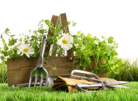 Commercial property enhanced by Crouch End landscaping professionals