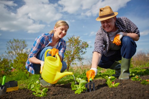 A woman and a man, both dressed casually with gardening gloves, are working together in a well-maintained garden, planting young green lettuce or similar leafy greens in rich, dark soil. The woman is smiling while holding a yellow watering can, preparing to water the seedlings, and the man is wearing a straw hat and plaid shirt, leaning forward with a gardening fork or hand tool to tend the plants. In the background, there are rows of young plants, a clear blue sky with some scattered clouds, and distant trees, suggesting a peaceful outdoor space in Crouch End or nearby North London. The garden features tidy flower beds or vegetable patches bordered by soil and some small garden tools lying nearby, indicating active garden maintenance. The overall scene captures an outdoor gardening activity on a bright, sunny day, highlighting the connection to professional gardening and landscaping services available in the local area.