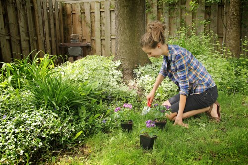 Well-shaped hedge enhancing garden aesthetics