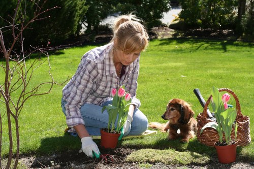 A woman wearing a plaid shirt and gardening gloves is kneeling on a lush green lawn in a suburban garden in Crouch End, planting pink tulips in a small terra cotta pot. The garden features a well-maintained grass area, with a flower bed bordered by bare soil and edged with a mix of small plants and shrubs. To her right, a wicker basket contains gardening tools and additional pots with tulips, while a young brown puppy sits attentively nearby, watching her work. In the background, mature trees and leafy bushes create a natural backdrop, casting dappled sunlight over the scene, indicating a bright, clear day. The garden showcases a tidy, landscaped outdoor space suitable for regular gardening and lawn care, highlighting aspects of outdoor maintenance services provided by Landscapers Crouch End to enhance garden planting and overall appearance in the local area.