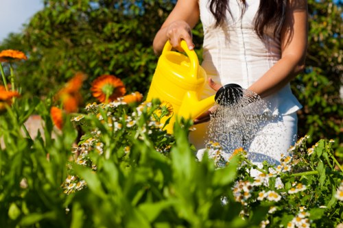 The image shows a woman tending to a vibrant garden in Crouch End, standing amidst a variety of flowering plants and greenery. She is holding a yellow watering can and watering plants with a black nozzle, with her long brown hair partially visible. The garden features a well-maintained lawn area with dense, lush grass in the foreground, bordered by flower beds filled with white daisy-like flowers and orange blooms. Behind her, there are neatly trimmed hedges and small shrubs, along with a background of mature trees that provide shade and natural privacy. The scene is bathed in bright natural sunlight, indicating a clear day, with a blue sky overhead. This outdoor space demonstrates careful landscaping, including defined flower bed borders and a mix of textures and colours, supporting outdoor gardening and lawn care activities typical for residential gardens in the area serviced by landscaperscrouchend.co.uk.