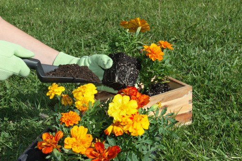 A gardener wearing light green gloves is planting a floral arrangement in a rectangular wooden planter box situated in a well-maintained garden with lush green grass. The gardener is holding a small trowel filled with dark soil, preparing to plant bright yellow, orange, and red marigolds, which are flourishing and densely packed within the planter. The background features a neat expanse of grass, with the focus on the planting activity and the vibrant colors of the marigolds. The scene exhibits natural daylight, suggesting a clear, mild weather day, and the garden offers a tidy and inviting outdoor environment suitable for landscaping and gardening maintenance by professionals such as Landscapers Crouch End, serving local areas including N8. The image emphasizes garden planting and flower bed enhancement, aligning with gardening and landscaping services in the region.