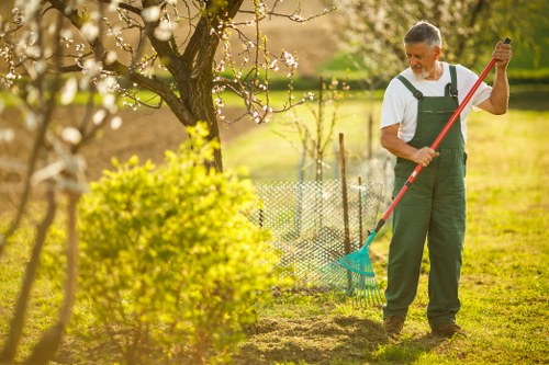 Professional hedge trimming tools