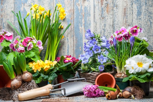 Crouch End landscapers planning garden design with homeowners